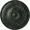 Ekena Millwork Small Classic Ceiling Medallion (Canopies up to 10"), 40 1/4"OD x 3 1/8"P, Painted Turtle Crackle CM40CLPTC - alternate 1